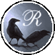 BlackCrows_big_04