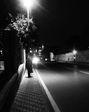Nice photo!