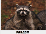 Рандом