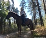 лес 